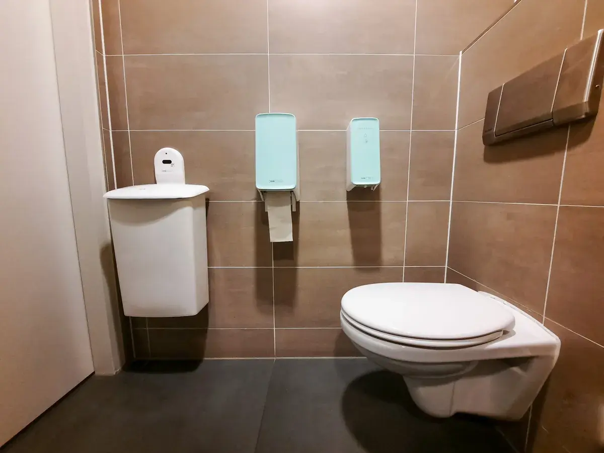 Toilet hygiene