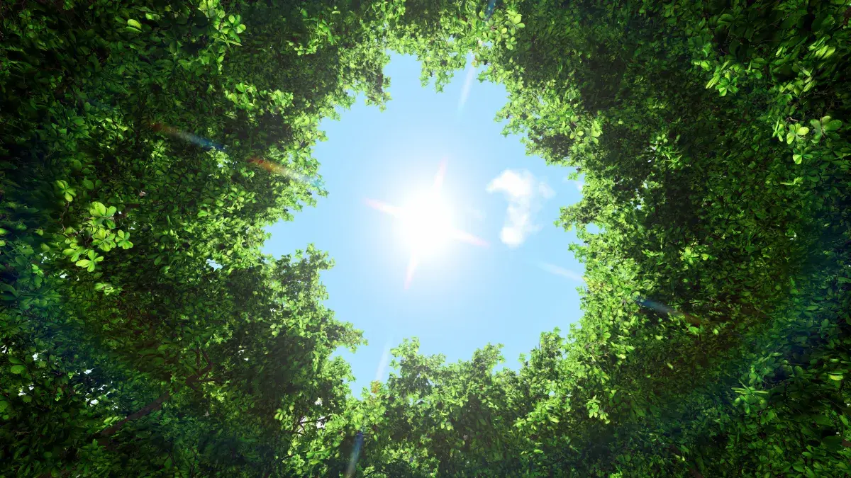 istock 1175807463 1 1jpg1