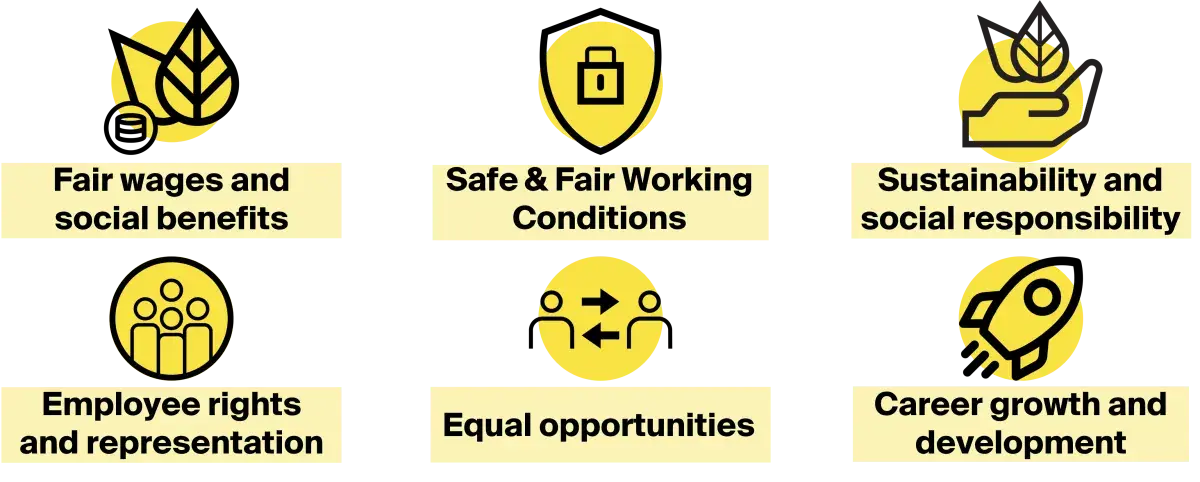 fec_basic_principles_0.png