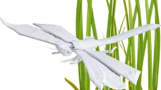 Handhygiene wird immer wichtiger  