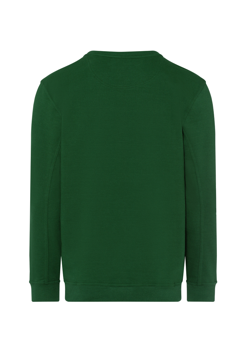 CWS PRObasics: Sweatshirt Darkgreen view 4