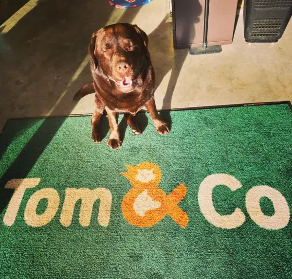 logomat_tomcopng